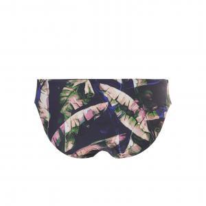  tropical night