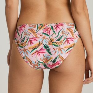 Sirocco pink paradise