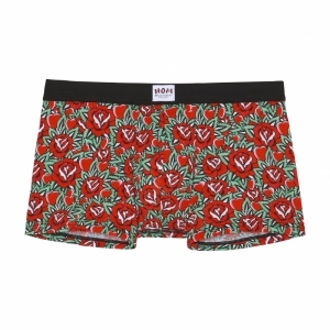 Comfort Boxer Briefs Lenfoire P0PA red print