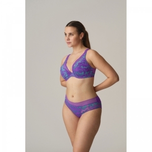VERAO ACI Italian Aca