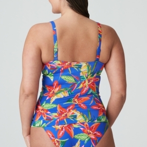 LATAKIA TNF Tropical Ra