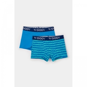 Jongens boxershorts, 2-pack 021 set blauw +