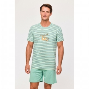 Herenpyjama, korte mouwen 924 multicolor