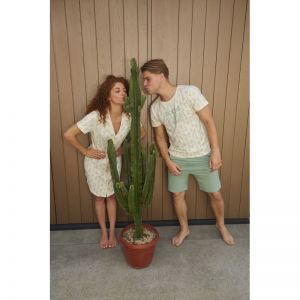 Dames slaapkleedje doorknoop Light green