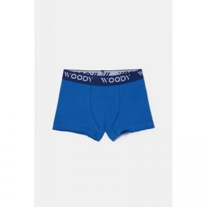 Jongens boxer 2-pack 011 set blauw 