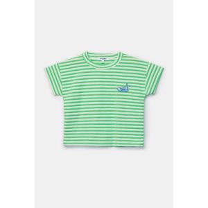 Setje in badstof 922 groene stre