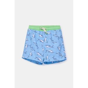 Jongens zwemshort 934 blauwe haai